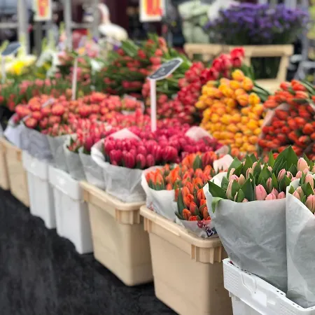 Trendy 2 Bedroom On Perfect Location Appartement