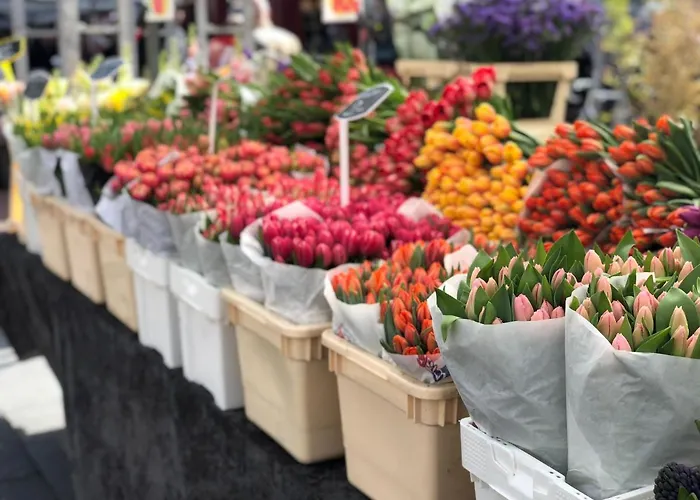 Trendy 2 Bedroom On Perfect Location Apartman